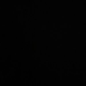 Listing for juliacolizzo